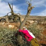 Palestinian Olive Oil: Defying Occupation…