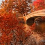 Summer vs. Autumn 2023: Up&hellip;