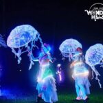Wonder Hills Festival 2024–2025: A&hellip;